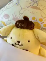 フォトギャラリー 5