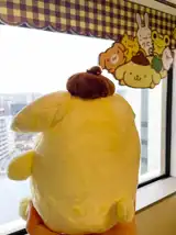 フォトギャラリー 11